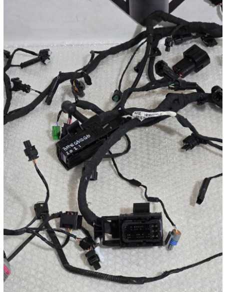 Main Wiring Harness Bmw G 310 GS 0G31 40 Years 2021, 61111541008