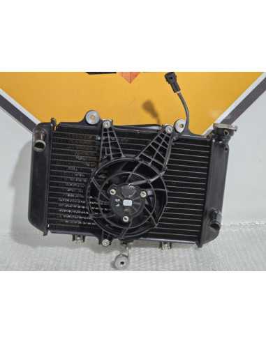 Radiator Complet Bmw G 310 GS 0G31 40 Years 2021, 17118558350 17429457927