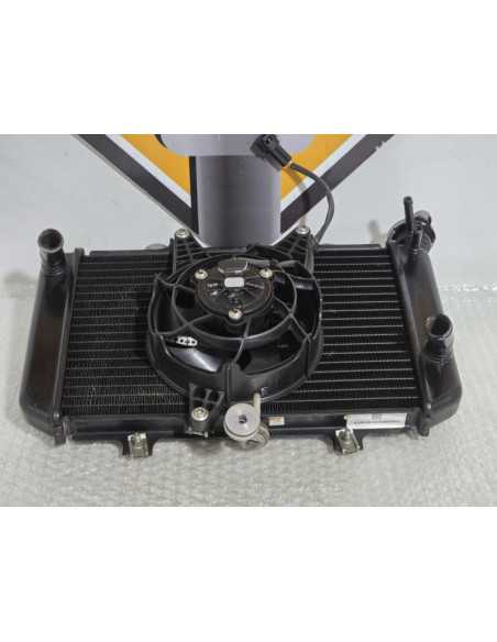 Radiator Complet Bmw G 310 GS 0G31 40 Years 2021, 17118558350 17429457927