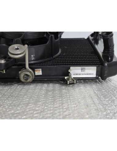 Complete Radiator Bmw G 310 GS 0G31 40 Years 2021, 17118558350 17429457927