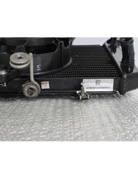 Complete Radiator Bmw G 310 GS 0G31 40 Years 2021, 17118558350 17429457927