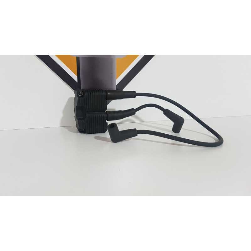 Bobina Inductie & Fise Harley Davidson FAT BOY - FLSTF - 2003 