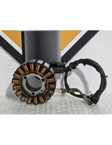 Stator Bmw G 310 GS 0G31 40 Years 2021, 12311541462