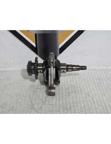 Vibrochen Cu Biela Bmw G 310 GS 0G31 40 Years 2021, 11219829397 11247923441