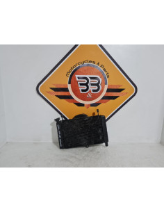 Complete Radiator Yamaha FZR 600 4JH 1995, 4JH124610000 4JH124050000