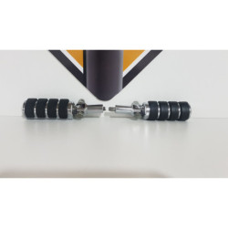 Passenger Footrest & Support Harley Davidson FAT BOY - FLSTF - 2003 2