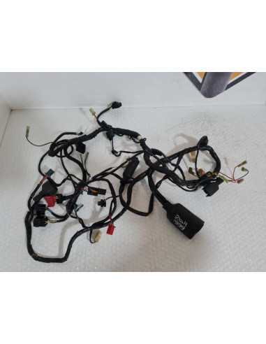 Instalatie Electrica Kawasaki Ninja ZX6R 1999, 260301551