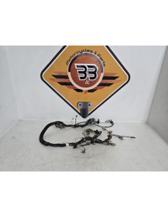 Instalatie Electrica Kawasaki Vulcan VN 700A 1984, 260011690