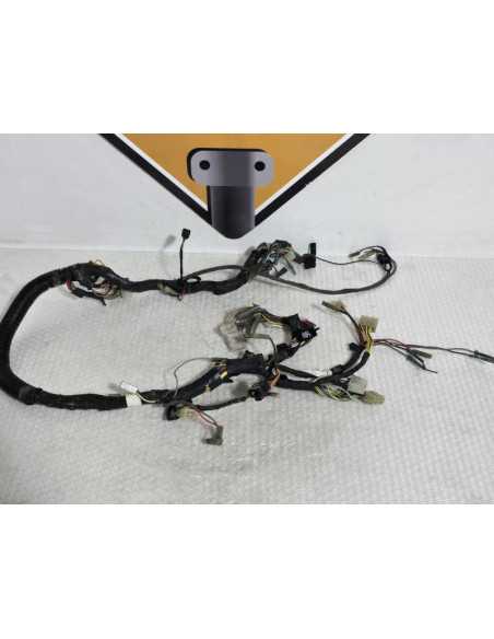 Wiring Harness Kawasaki Vulcan VN 700A 1984, 260011690