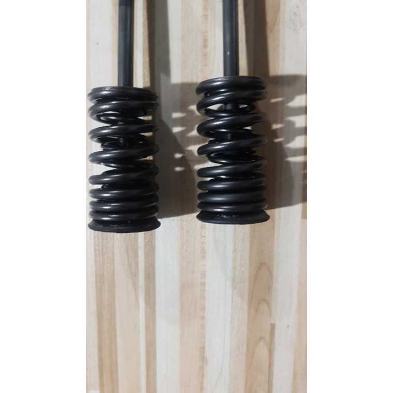 Supape Kawasaki GPZ 500S - 1995