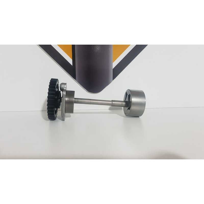 Oil Pump BMW F 800 R - 2013 