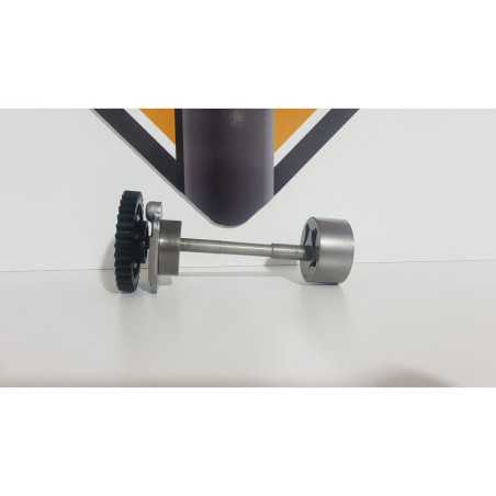 Oil Pump BMW F 800 R - 2013 