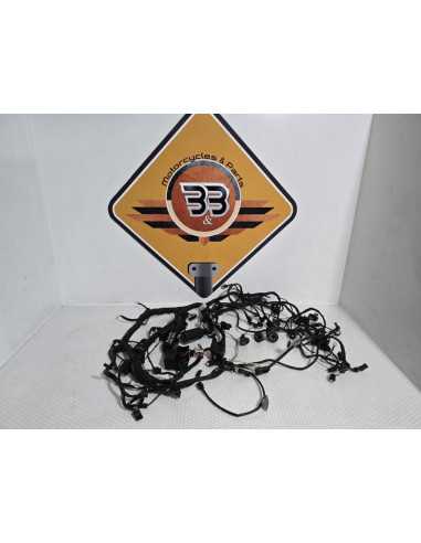 Instalatie Electrica BMW R1200RT K26 2012, 61117722842 61117722840