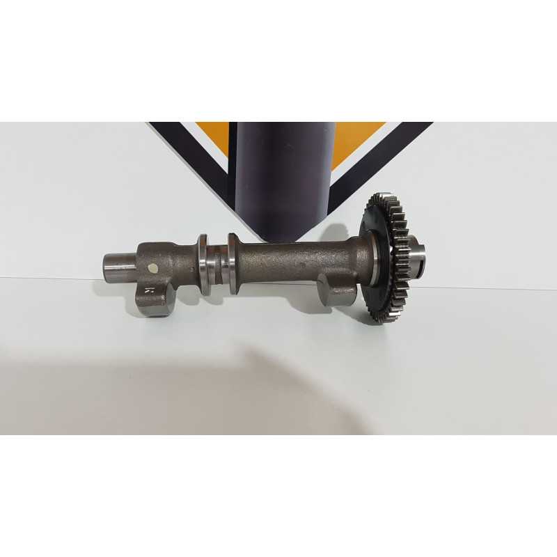 Arbore Compensare / Contragreutate Spate Triumph T 100 EFI - 2009 