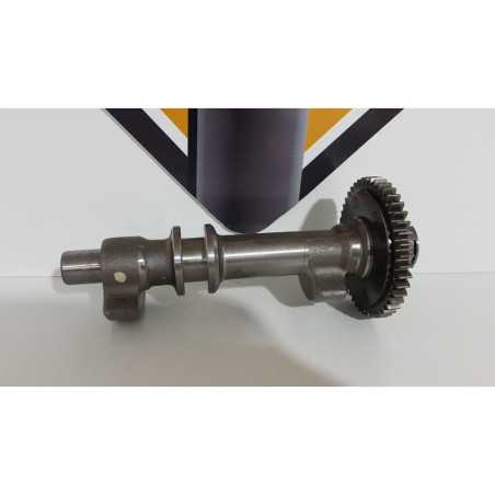 Balancer Shaft Front Triumph T 100 EFI - 2009 