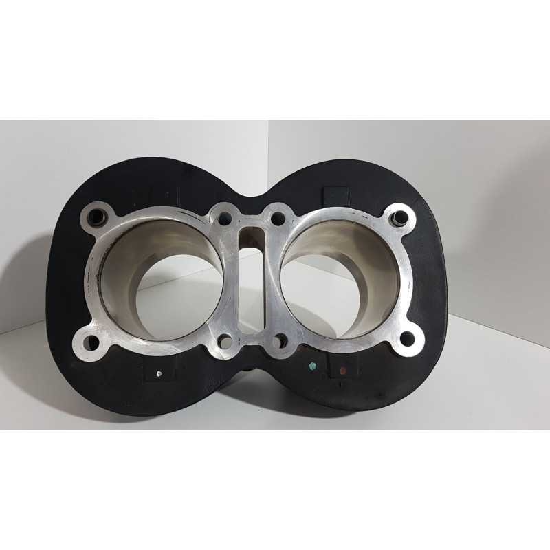 Cilindri Triumph T 100 EFI - 2009 