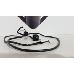 Cititor Triumph T 100 EFI - 2009 2