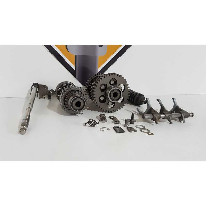 Cutie Viteza Triumph T 100 EFI - 2009 