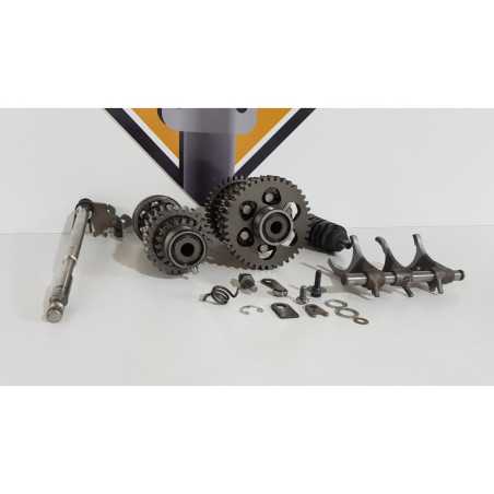 Cutie Viteza Triumph T 100 EFI - 2009 