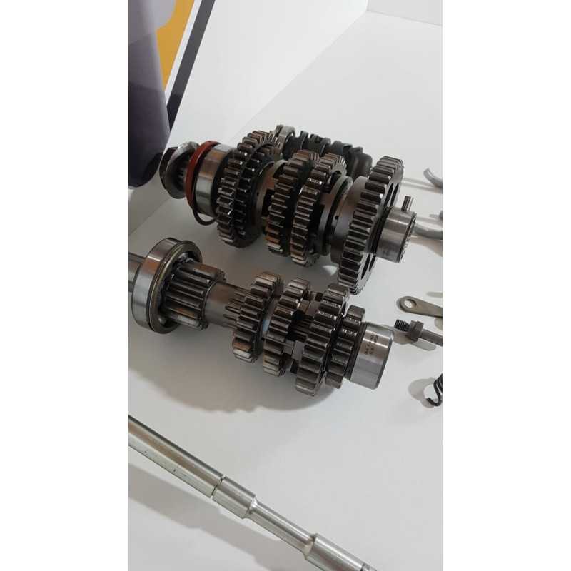 Cutie Viteza Triumph T 100 EFI - 2009 