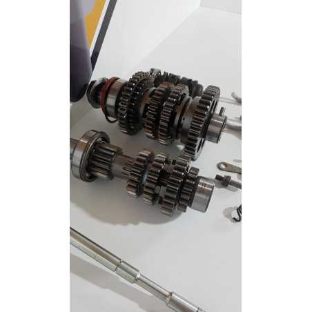 Cutie Viteza Triumph T 100 EFI - 2009 