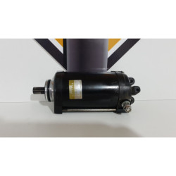 Electromotor Triumph T 100 EFI - 2009 2