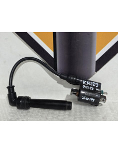 Bobina Inductie Cu Fisa Kawasaki Ninja 125 BX125A 2019, 211210713 211600025 2