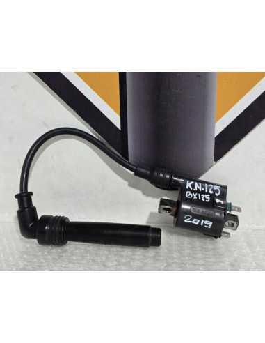 Ignition Coil With Coil Plug Kawasaki Ninja 125 BX125A 2019, 211210713 211600025