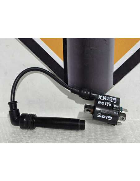 Ignition Coil With Coil Plug Kawasaki Ninja 125 BX125A 2019, 211210713 211600025