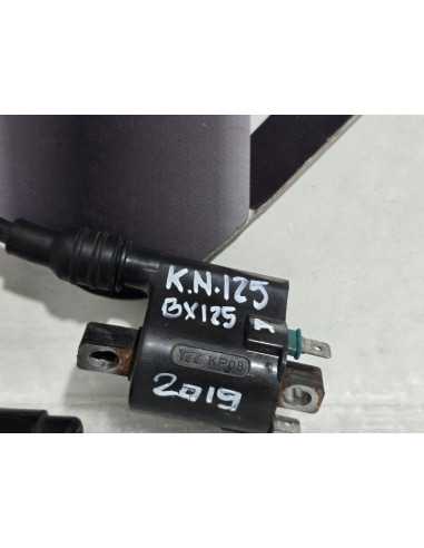 Ignition Coil With Coil Plug Kawasaki Ninja 125 BX125A 2019, 211210713 211600025