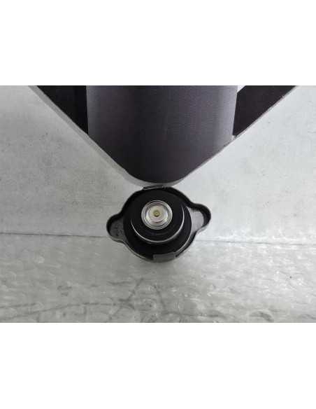 Buson Radiator Kawasaki Ninja 125 BX125A 2019, 490850014