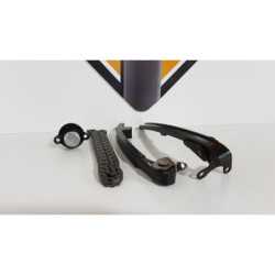 Patine Distributie & Lant & Intinzator Triumph T 100 EFI - 2009 2