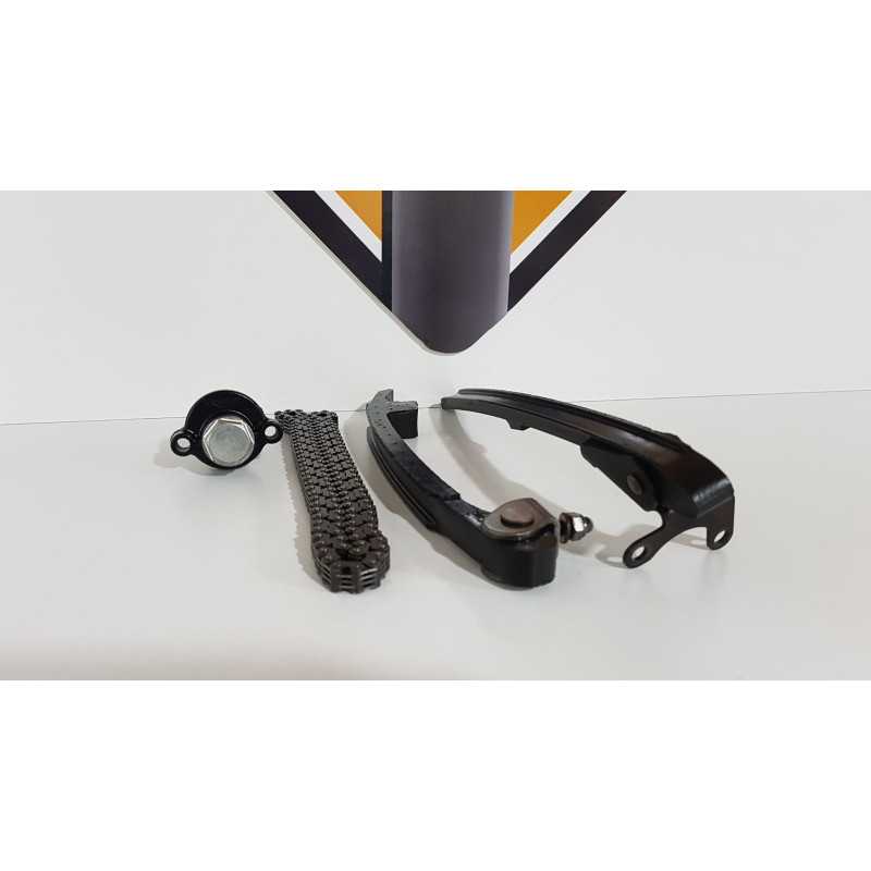 Patine Distributie & Lant & Intinzator Triumph T 100 EFI - 2009 