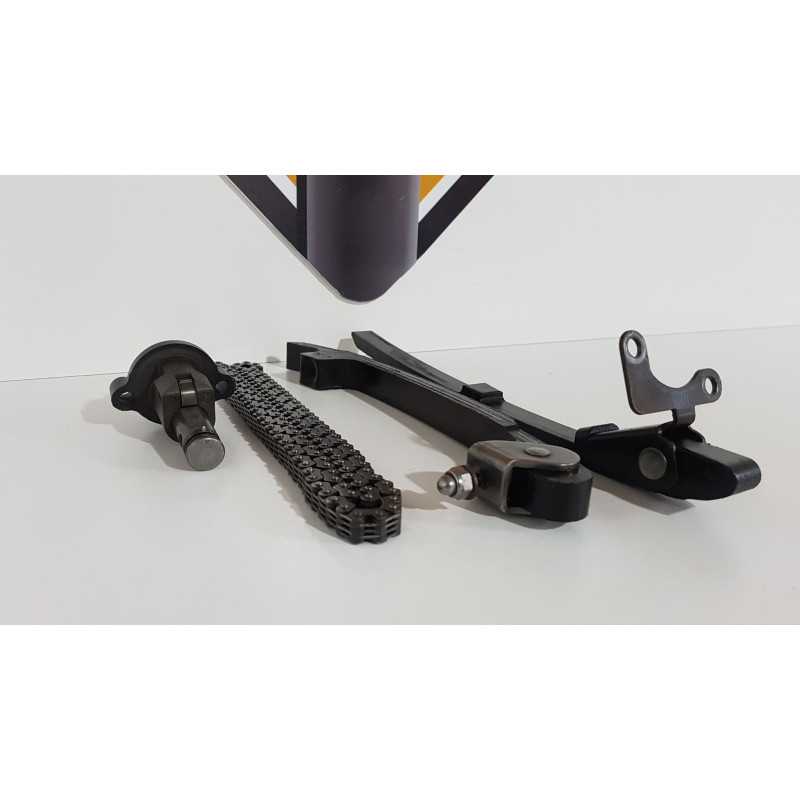 Cam Chain Guides & Chain & Tensioner Assy Triumph T 100 EFI - 2009 