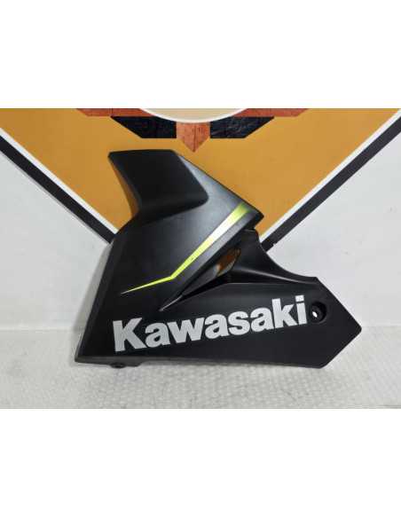 Left Lower Cowling Kawasaki Ninja 125 BX125A 2019, 550280482739