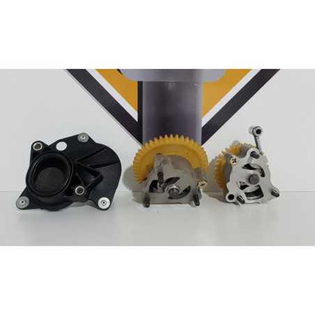 Pompa Ulei Completa Triumph T 100 EFI - 2009 