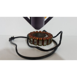 Stator Triumph T 100 EFI - 2009 2