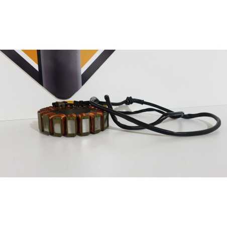 Stator Triumph T 100 EFI - 2009 