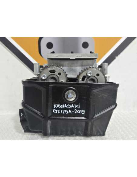 Chiuloasa Completa Kawasaki Ninja 125 BX125A 2019, 110080979