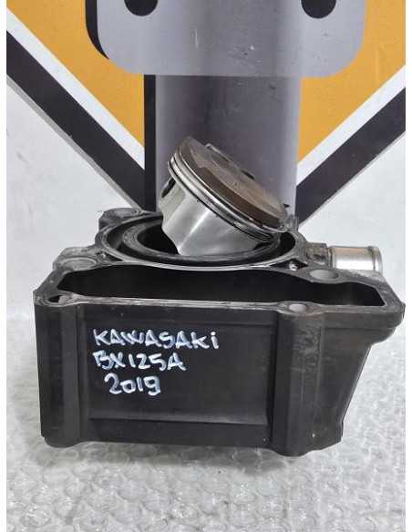 Cylinder And Piston Kawasaki Ninja 125 BX125A 2019, 110050703 130010809