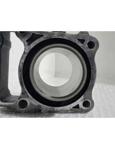 Cylinder And Piston Kawasaki Ninja 125 BX125A 2019, 110050703 130010809