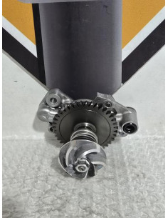 Pompa Apa Si Pompa Ulei Kawasaki Ninja 125 BX125A 2019, 592560014 160820829 2