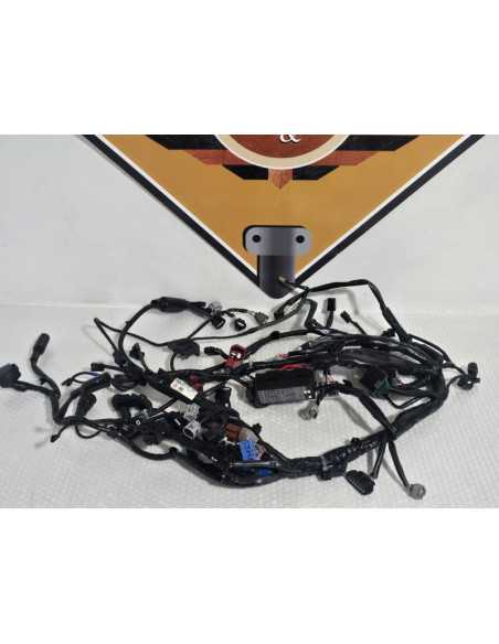 Wiring Harness Honda NC 750XD RH09 DCT 2024, 32100MKWD10
