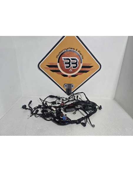 Wiring Harness Honda NC 750XD RH09 DCT 2024, 32100MKWD10