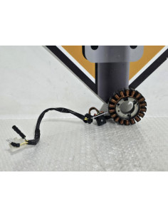 Stator And Ignition Pulser Honda CB 125R JC79 2020, 31120K98E01 2