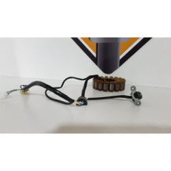 Stator & Ignition Pulser Yamaha XT 660 Z - 5VK - 2012 2