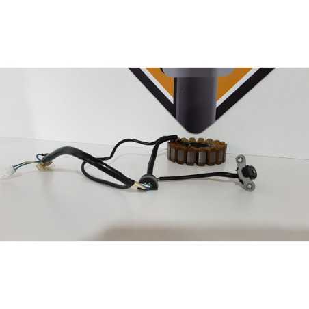 Stator & Ignition Pulser Yamaha XT 660 Z - 5VK - 2012 