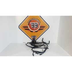 Electrical Wirings Harley Davidson Fat Boy - FLSTF - 2003 