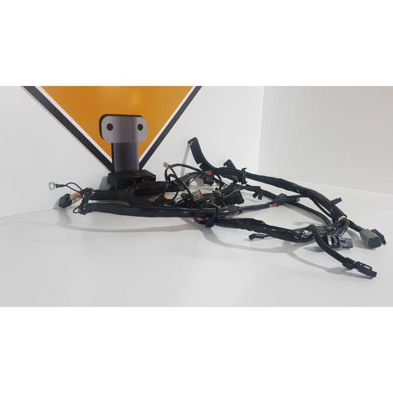 Electrical Wirings Harley Davidson Fat Boy - FLSTF - 2003 