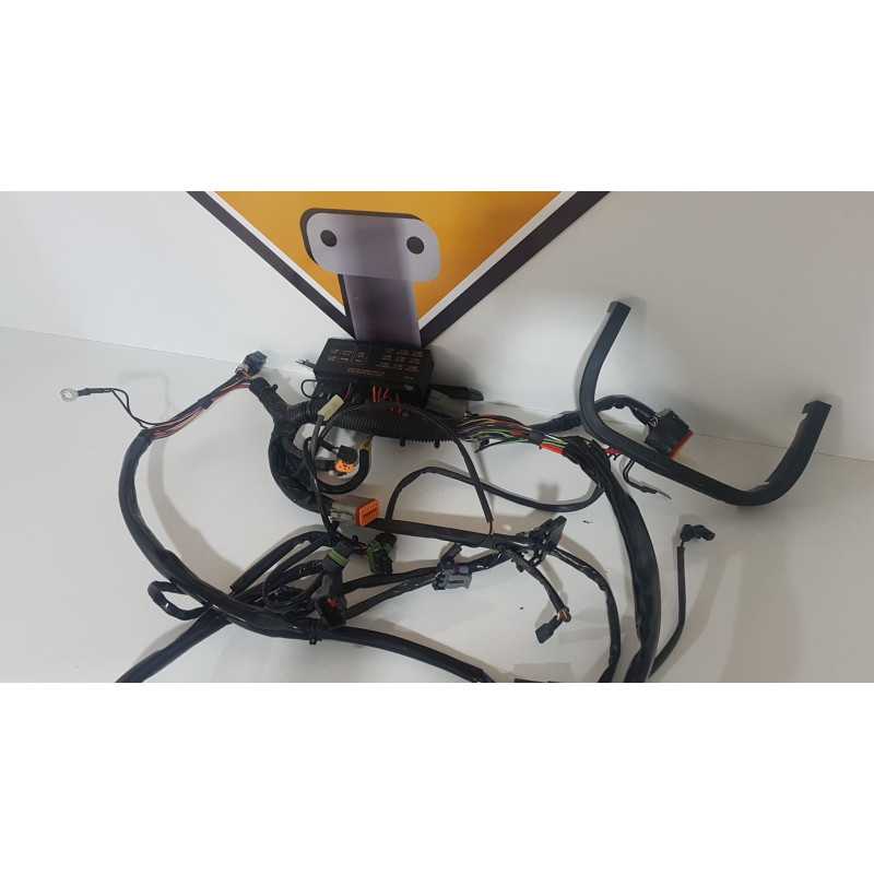 Instalatie Electrica Harley Davidson Fat Boy - FLSTF - 2003 